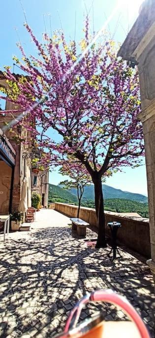 Relax Nell' Antico Borgo Villa Casperia Exterior photo